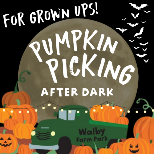 AFTER DARK Pumpkin Picking 2025 Grown Ups (Adults) ONLY 6.30-10pm