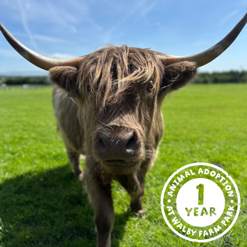 Walby Animal Adoptions