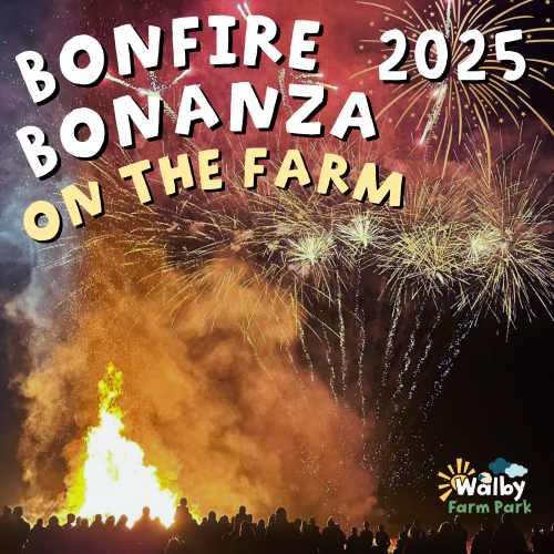 BONFIRE BONANZA 2025